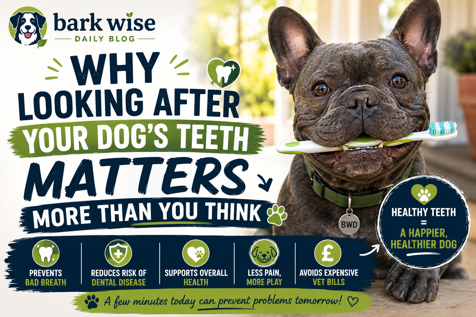Why Looking After Your Dog's Teeth Matters More Than You Think