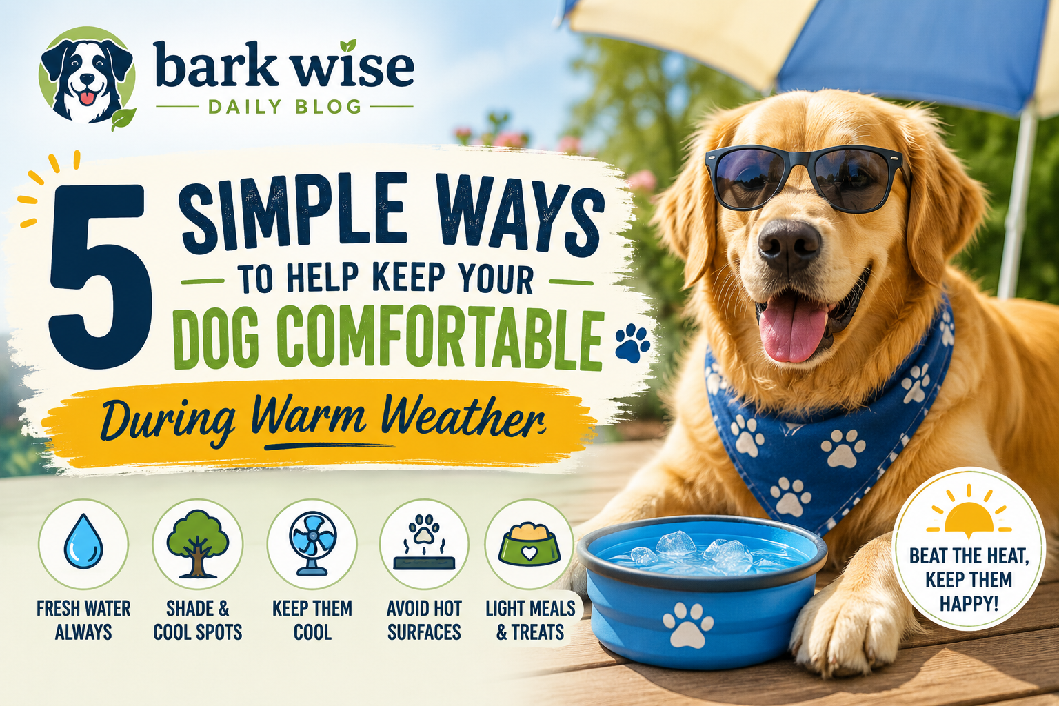 5 Simple Ways to Help Keep Your Dog Comfortable During Warm Weather